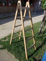 /album/butor/dscn0481-masolata-jpg/